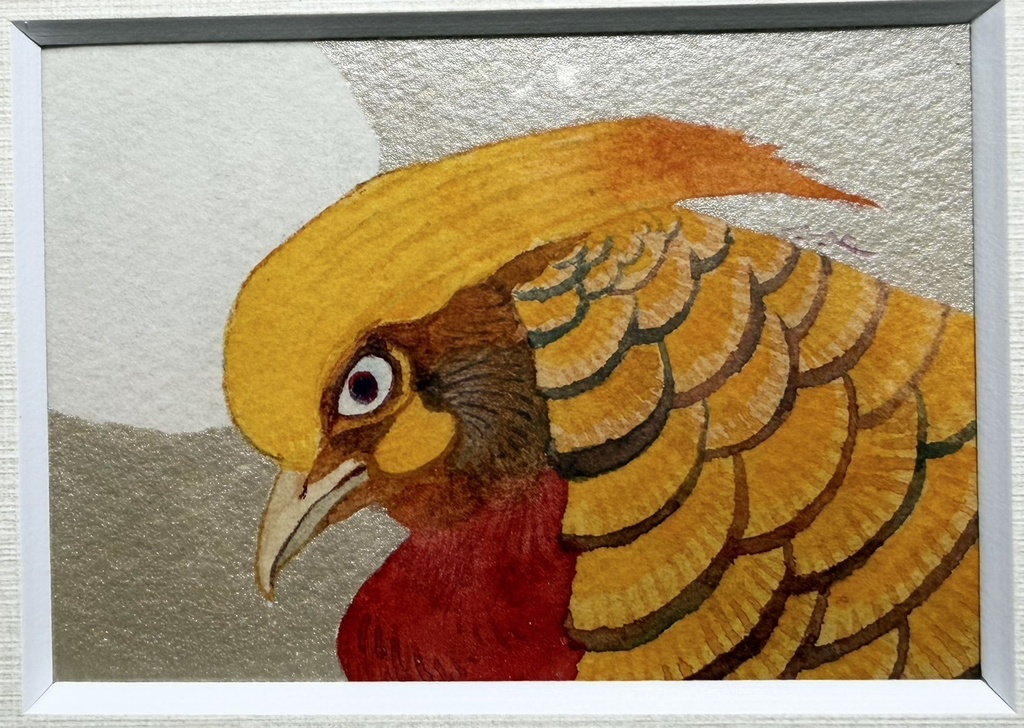 双月：金【額付ミニ原画】