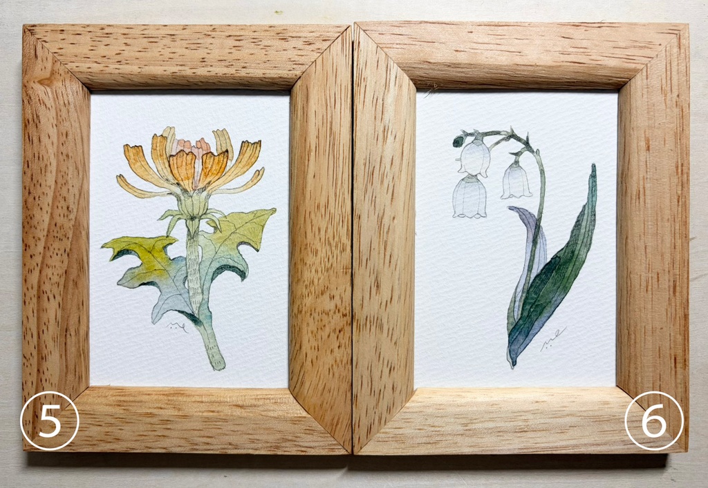 冒険家のボタニカルスケッチ【ファンアート/Minecraft】