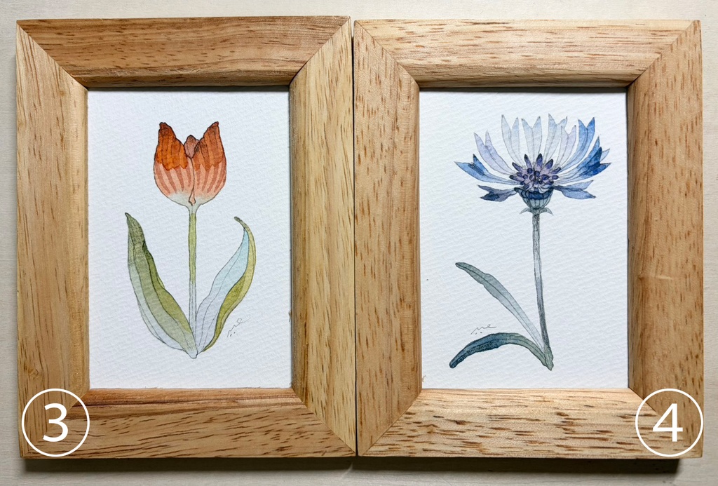 冒険家のボタニカルスケッチ【ファンアート/Minecraft】