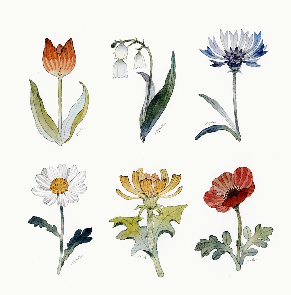 冒険家のボタニカルスケッチ【ファンアート/Minecraft】