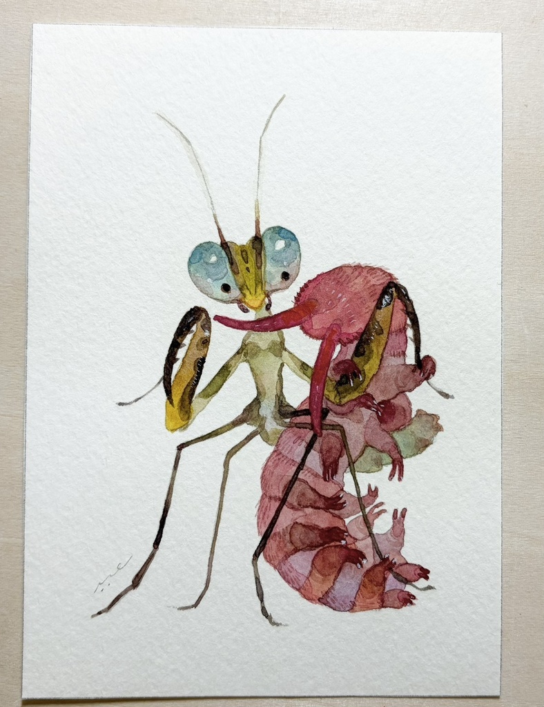 肉食系【フレームレス原画】