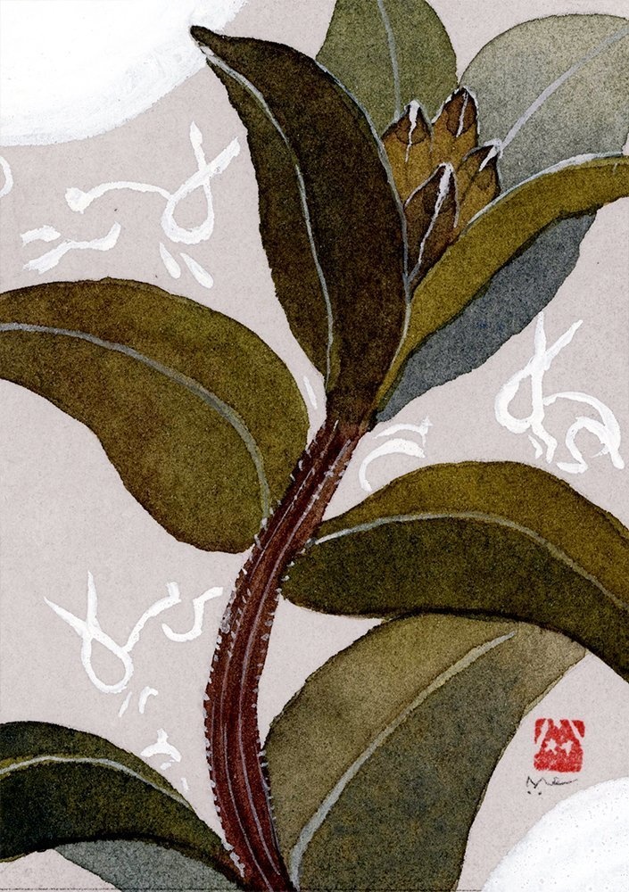 わかくさのマーチ【額付ミニ原画】