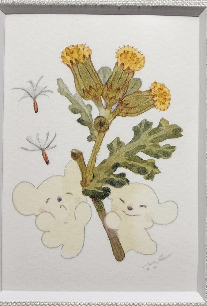 のぼろぎく【額付ミニ原画】