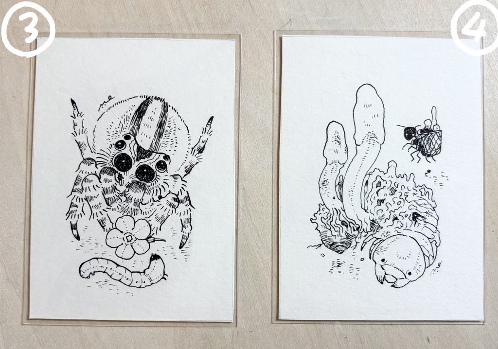花と虫のちいさなペン画たち【ミニ原画】
