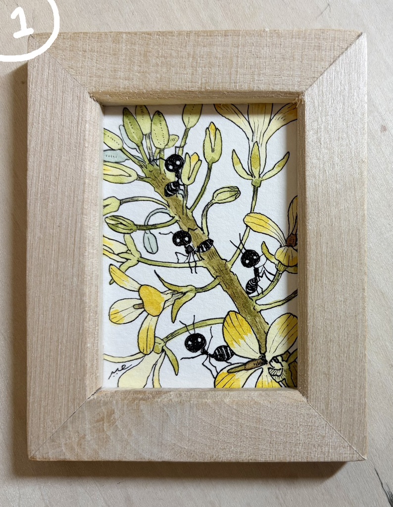 花と虫のちいさなペン画たち【ミニ原画】