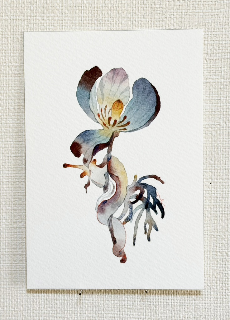 花どろぼう【原画/額なし/写真L判】