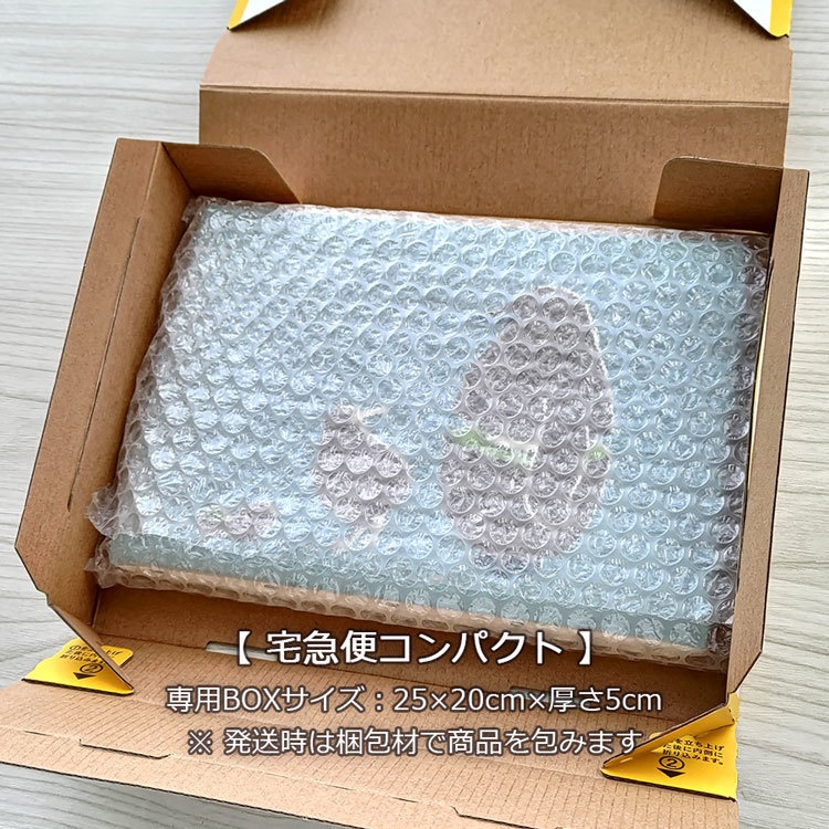 アートキャンバス SM号