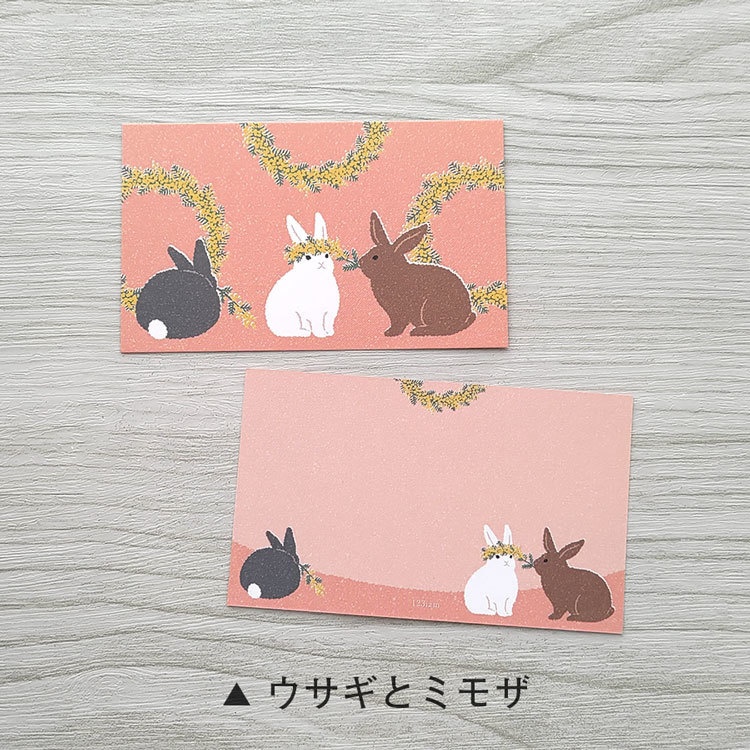 ミニカード(各種 10枚入)