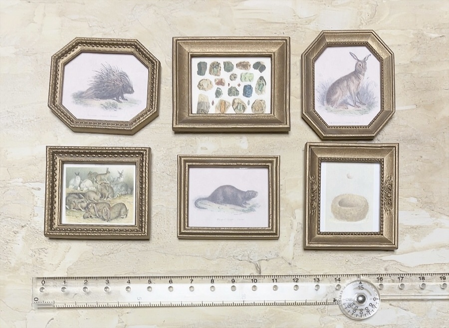 ミニチュア博物画と額縁セット