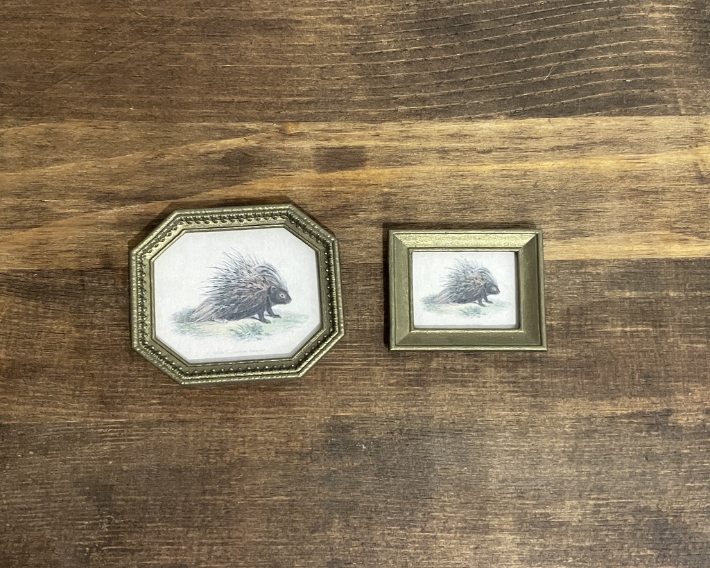 ミニチュア博物画と額縁セット