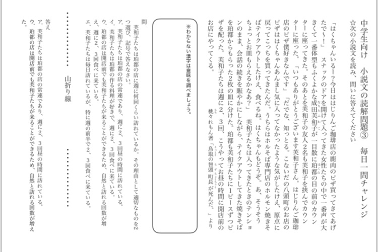 春休み&家庭学習用 全学年対象国語の文章題読解問題③3枚セット