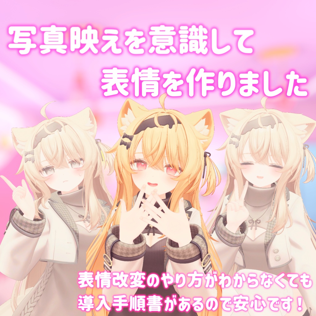 エクちゃん大好きな私が本気で作った表情アニメーション(22種+導入手順書)