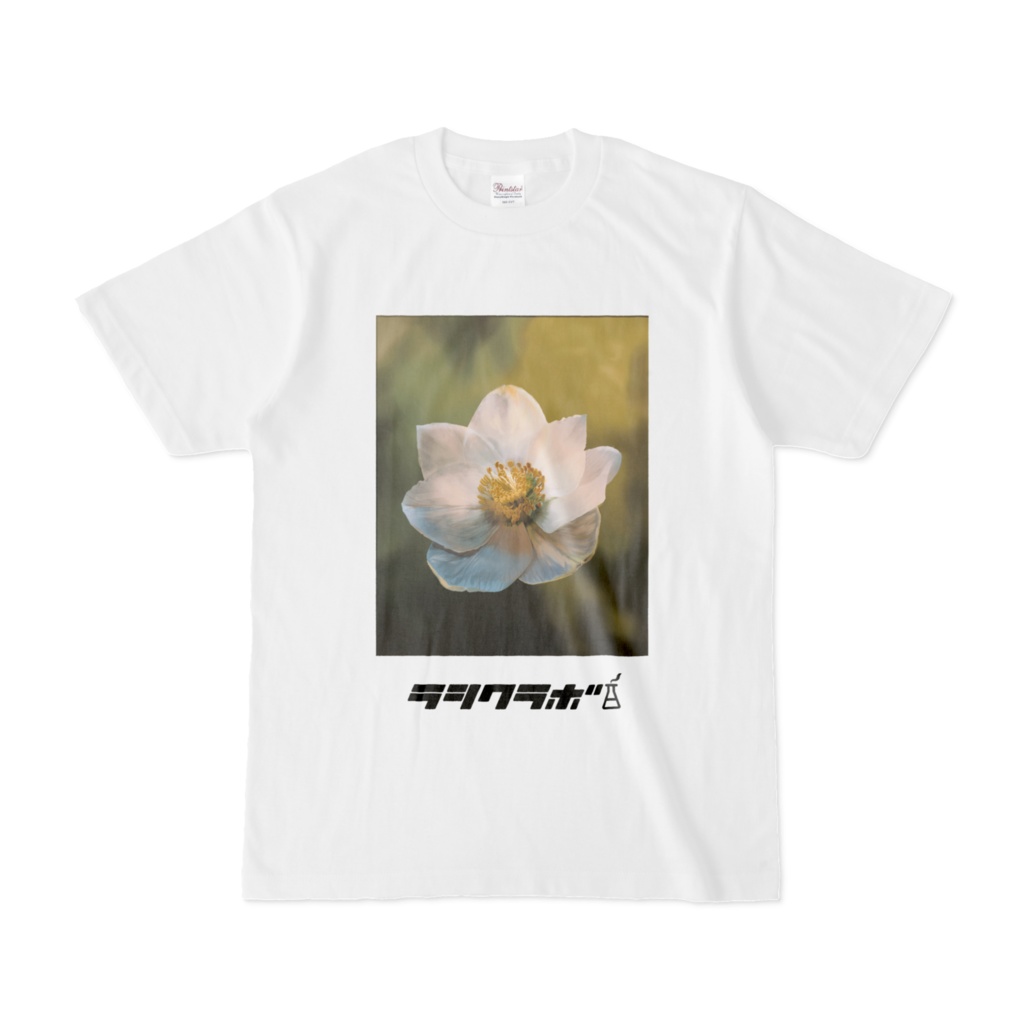 クリスマスローズ　Tシャツ