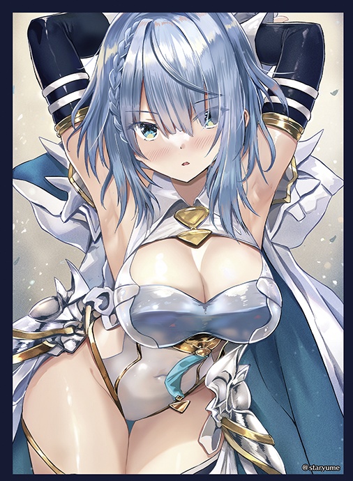 レギュターカードスリーブ - ドライツェーン