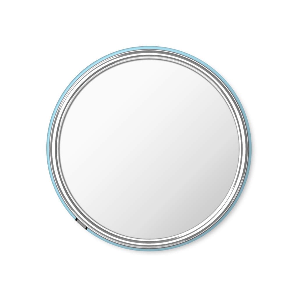 帰りたくない柴犬