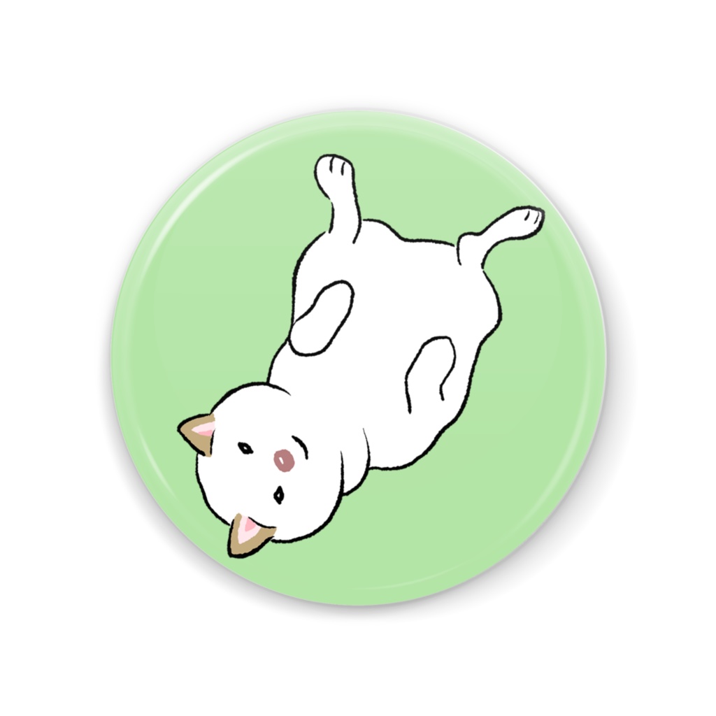 へそ天白柴