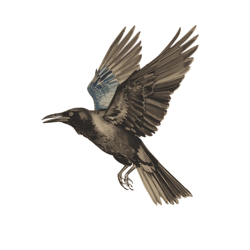 闇をまとう芸術家:カラスのクリップアート