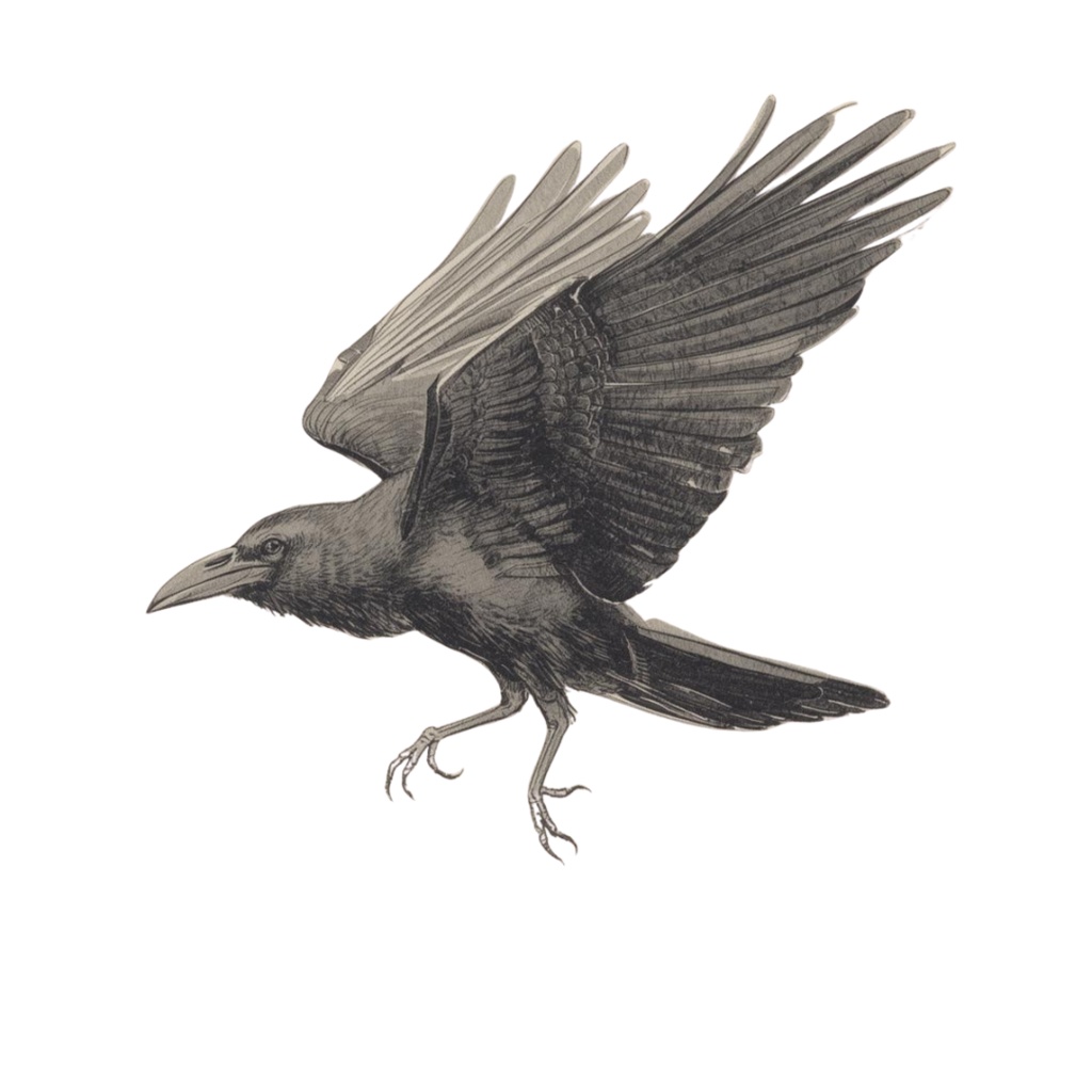 闇をまとう芸術家:カラスのクリップアート