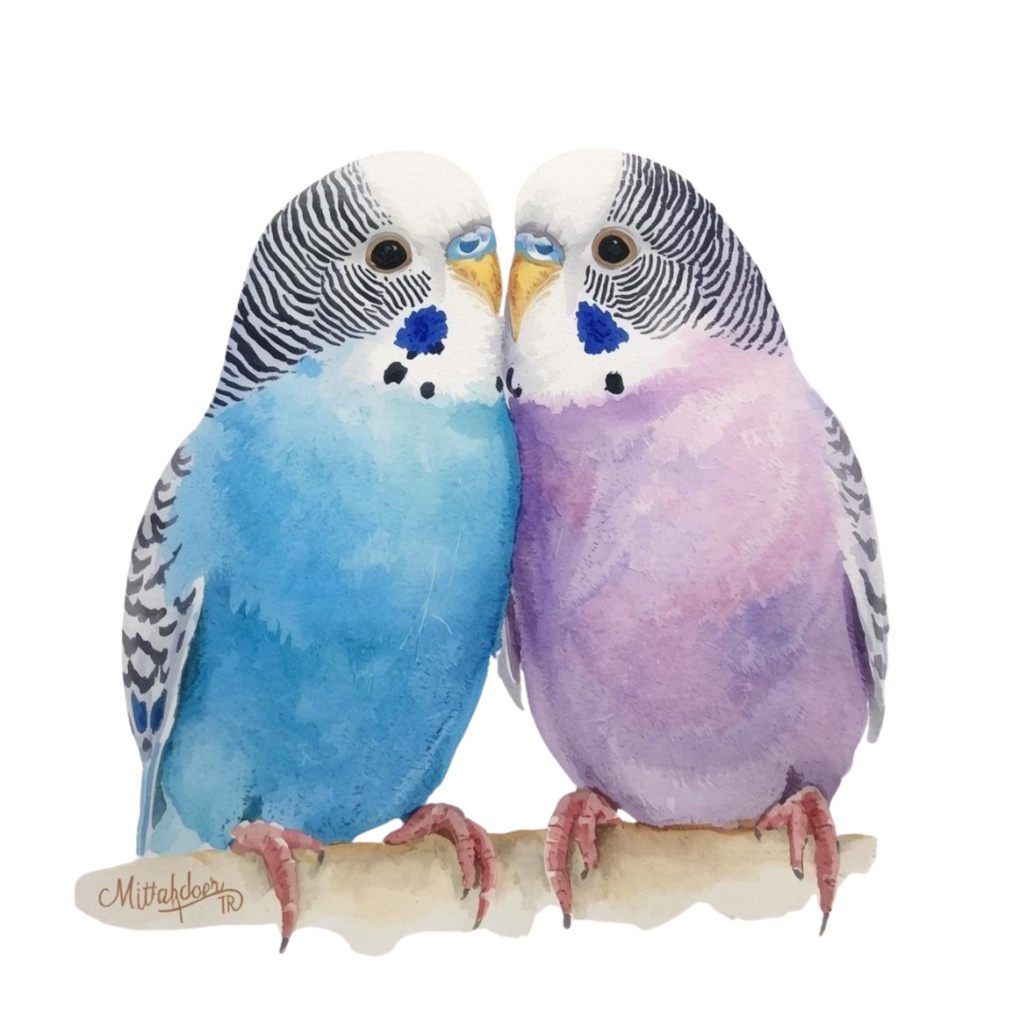 【30種】カラフルセキセイインコ素材集【PNG】