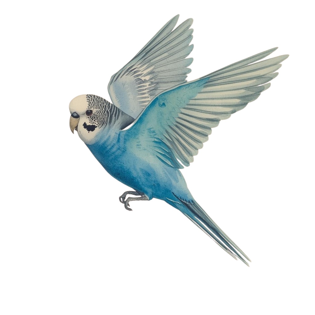 【30種】カラフルセキセイインコ素材集【PNG】