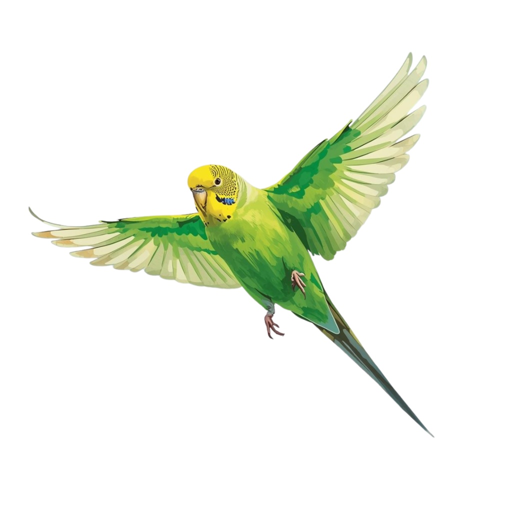 【30種】カラフルセキセイインコ素材集【PNG】