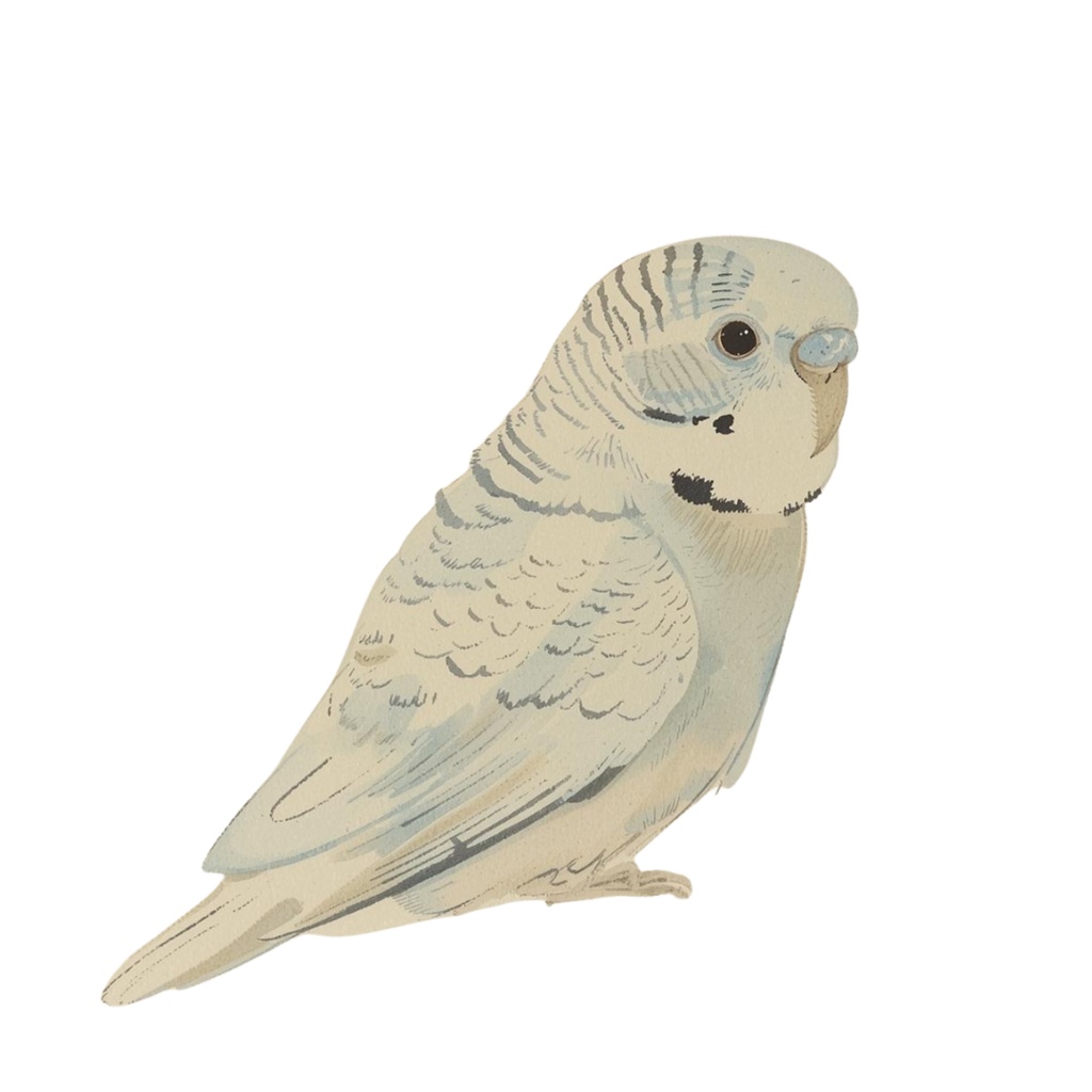 【30種】カラフルセキセイインコ素材集【PNG】