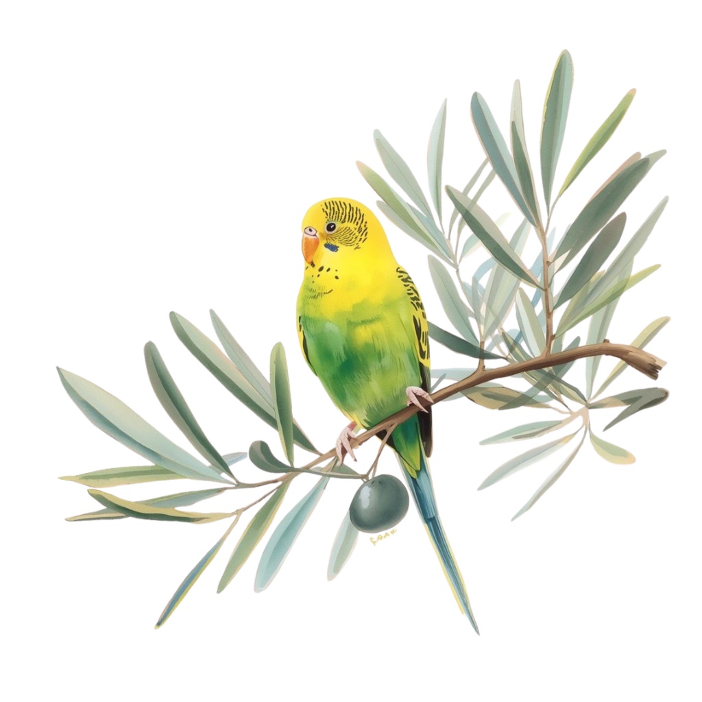 【30種】カラフルセキセイインコ素材集【PNG】