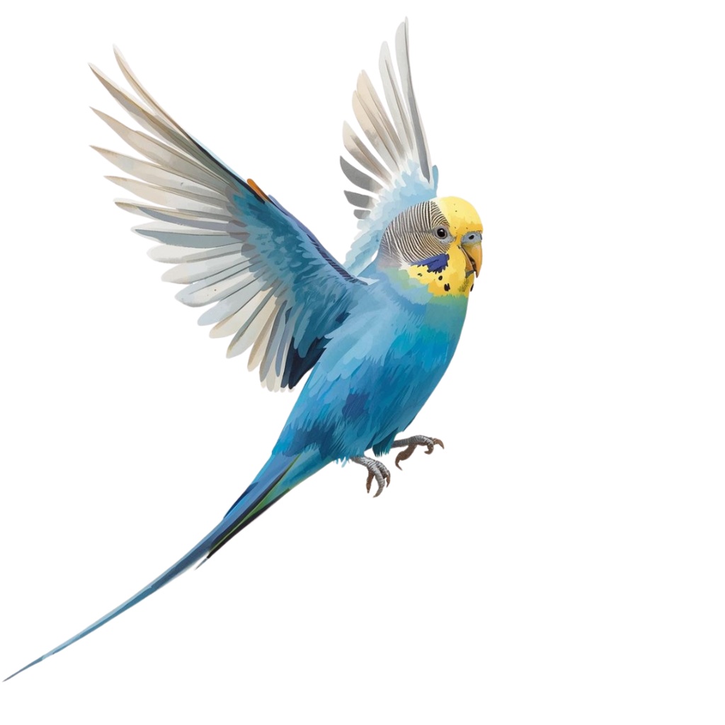 【30種】カラフルセキセイインコ素材集【PNG】