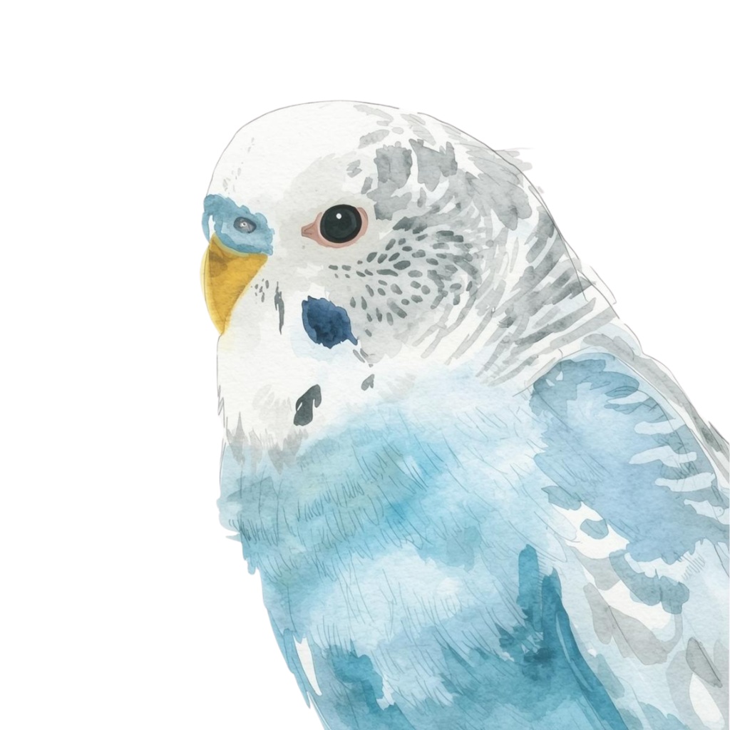 【30種】カラフルセキセイインコ素材集【PNG】