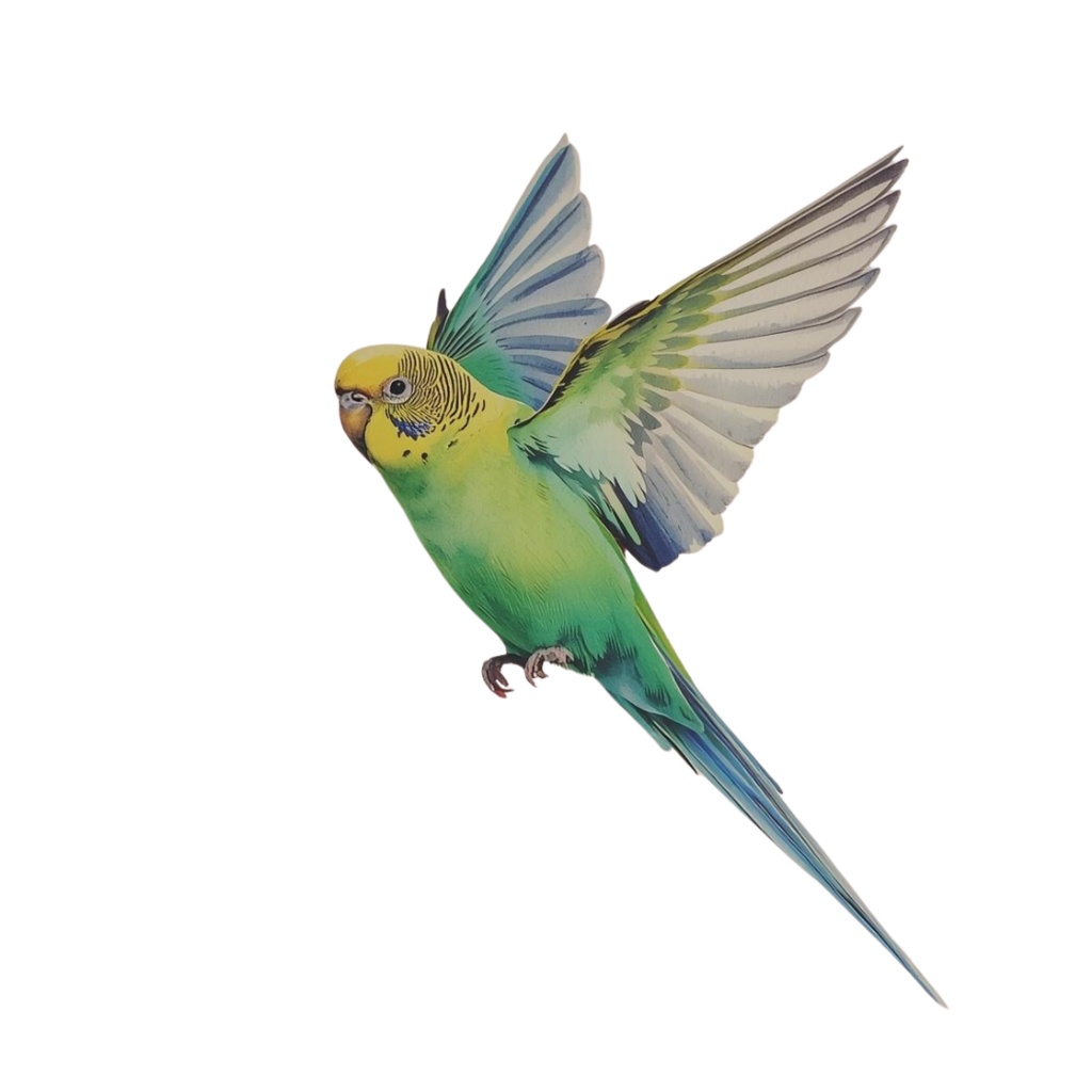 【30種】カラフルセキセイインコ素材集【PNG】