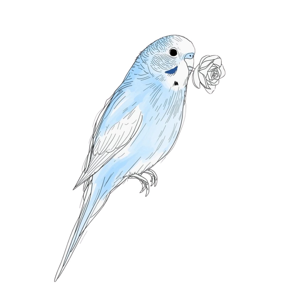 【30種】カラフルセキセイインコ素材集【PNG】