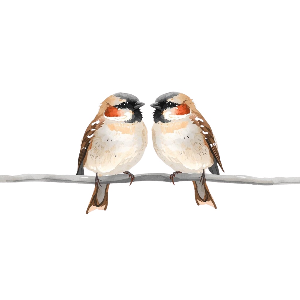 【水彩画スズメ】ふんわり可愛い!表情豊かな小鳥のクリップアート22種セット【PNG】