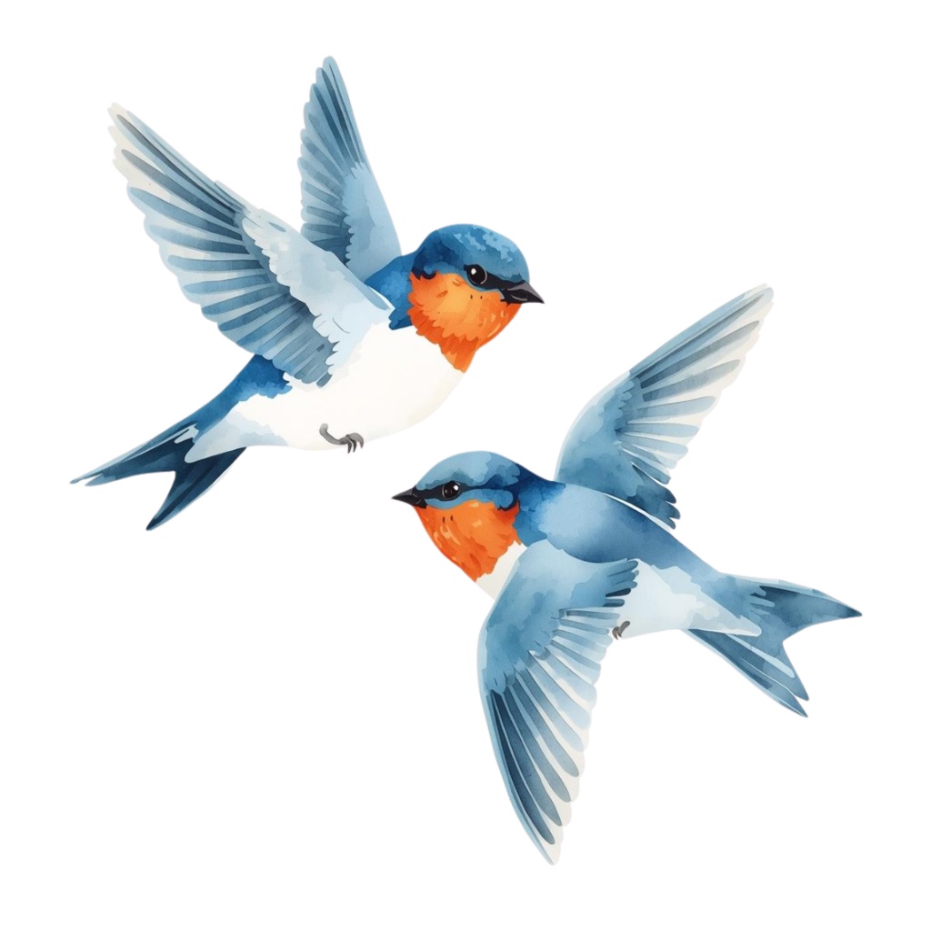 ツバメのクリップアートセット【32種】PNG素材集