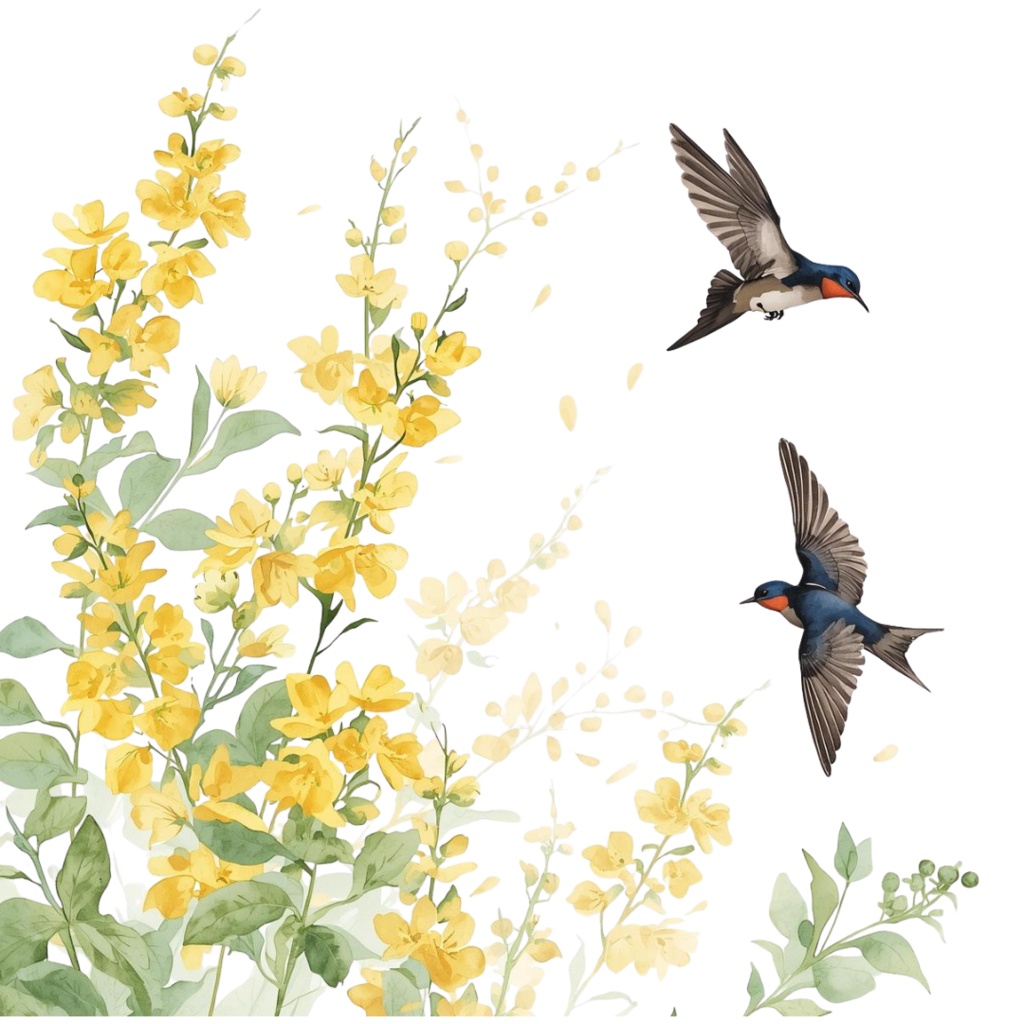 ツバメのクリップアートセット【32種】PNG素材集