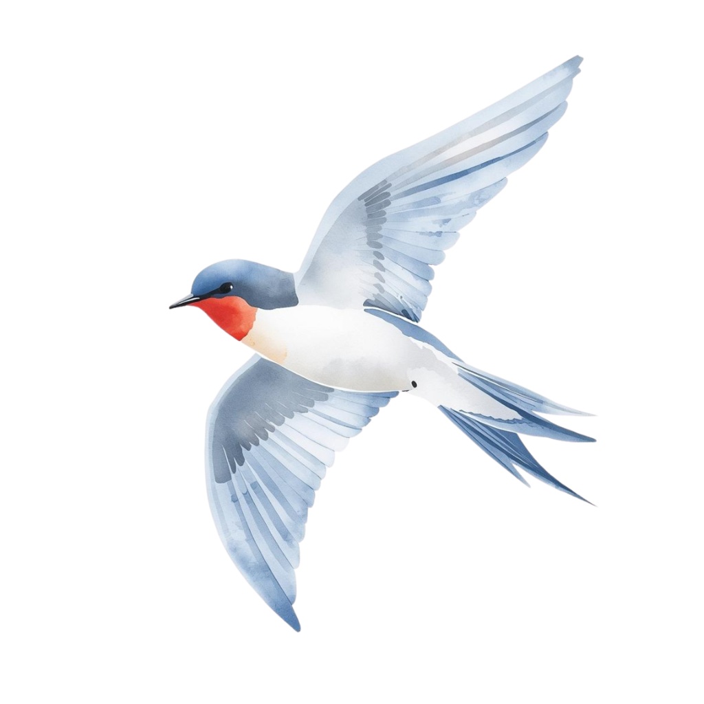 ツバメのクリップアートセット【32種】PNG素材集