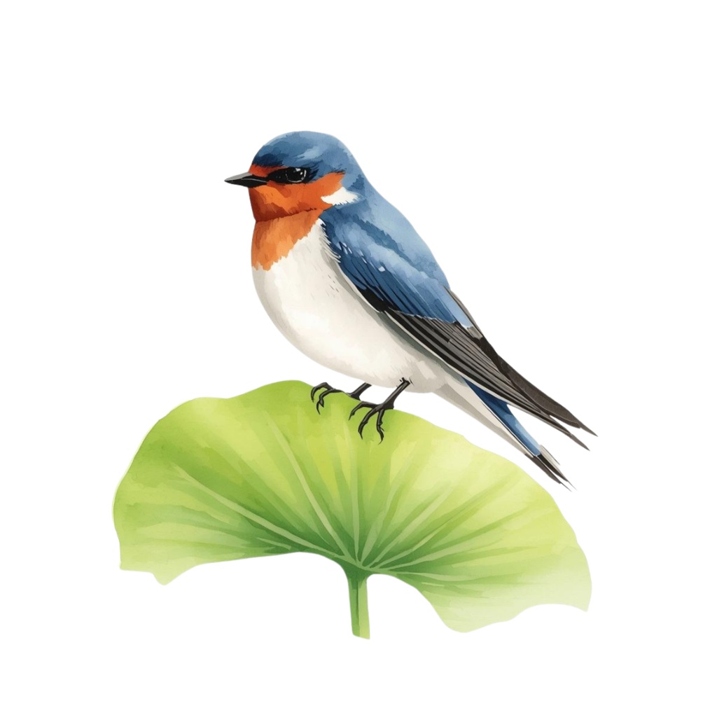 ツバメのクリップアートセット【32種】PNG素材集