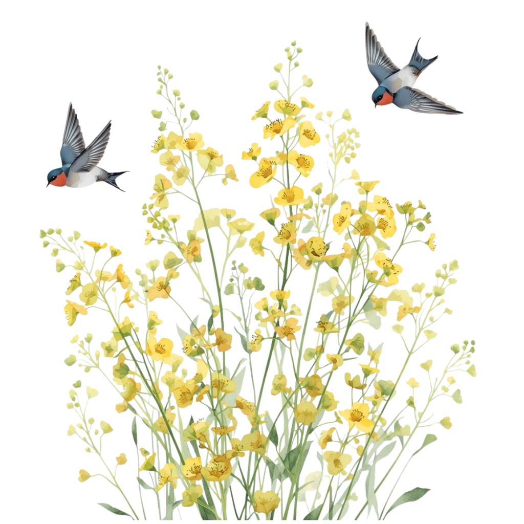 ツバメのクリップアートセット【32種】PNG素材集