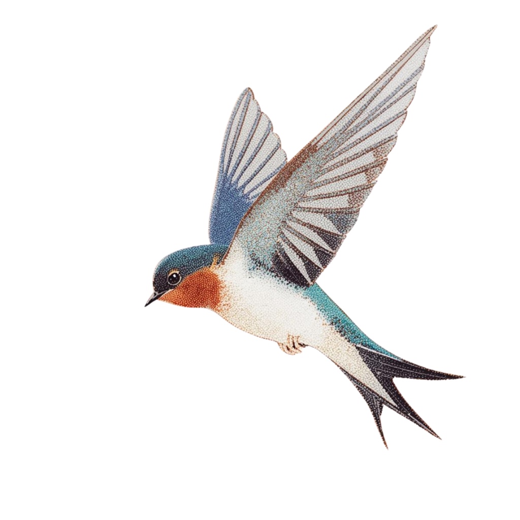 ツバメのクリップアートセット【32種】PNG素材集