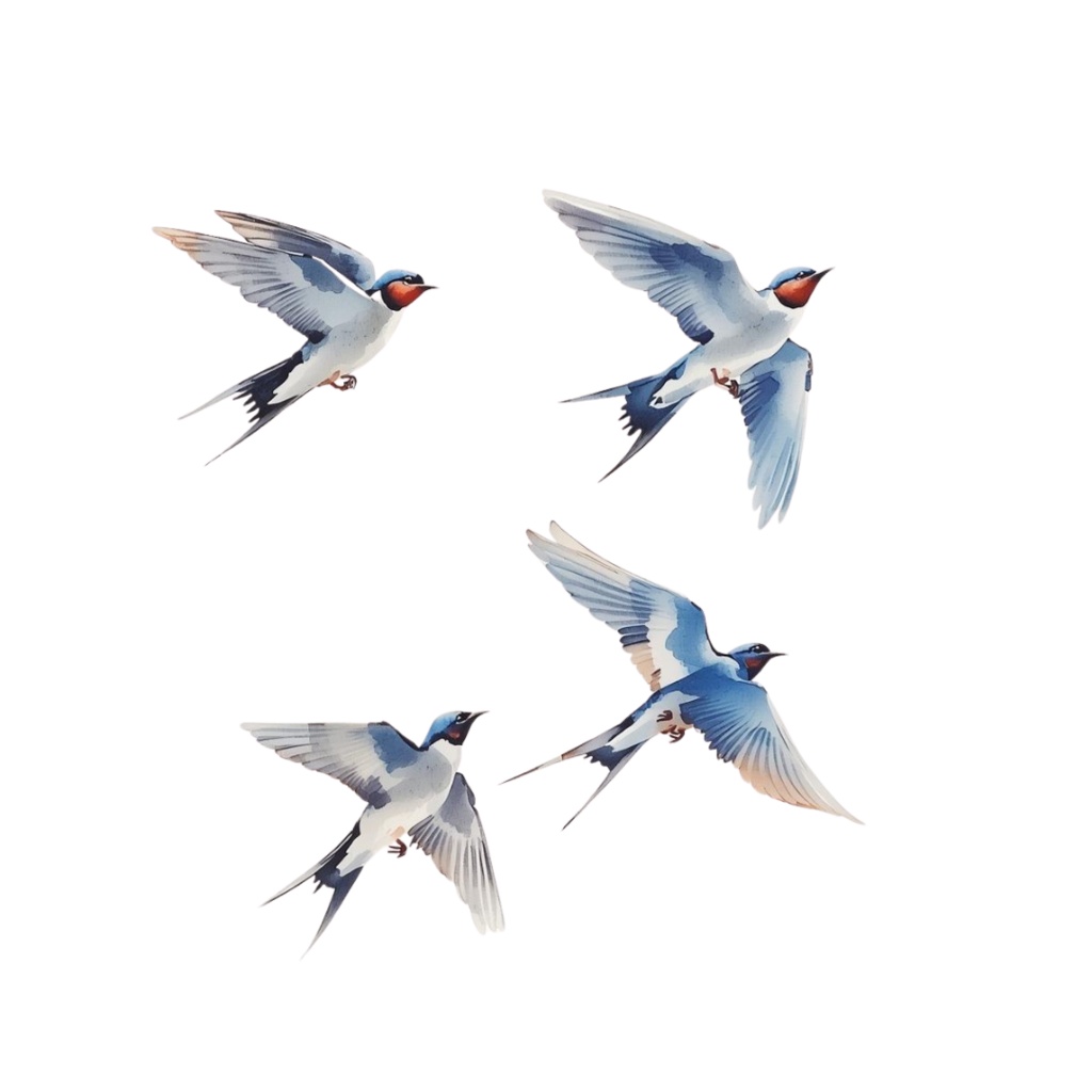 ツバメのクリップアートセット【32種】PNG素材集