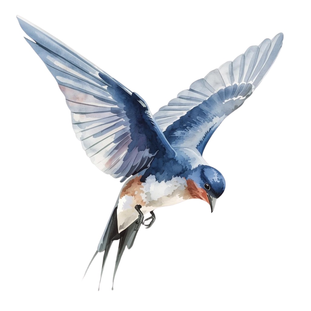 ツバメのクリップアートセット【32種】PNG素材集