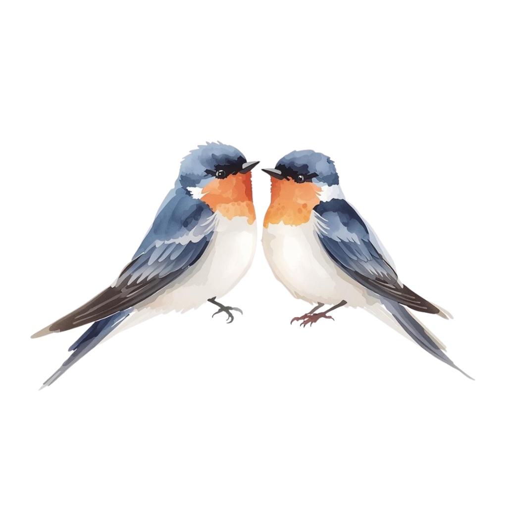 ツバメのクリップアートセット【32種】PNG素材集