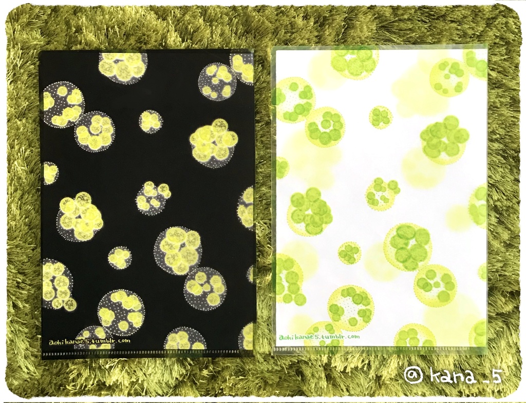 ボルボックスA5クリアファイル(2枚セット)