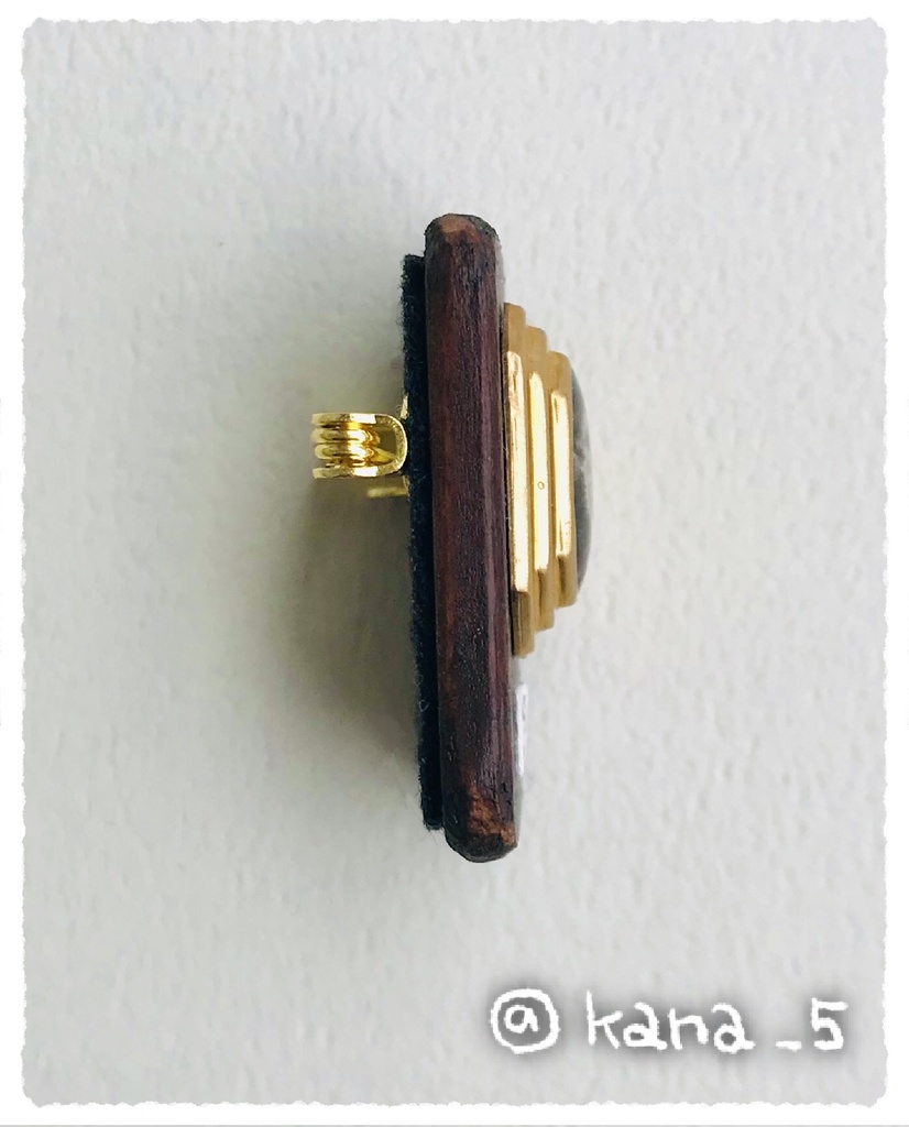 微生物標本ブローチ(イトクズモ)