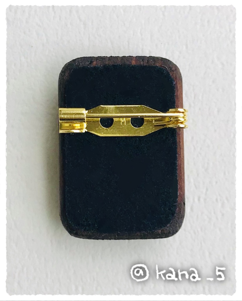 微生物標本ブローチ(イトクズモ)