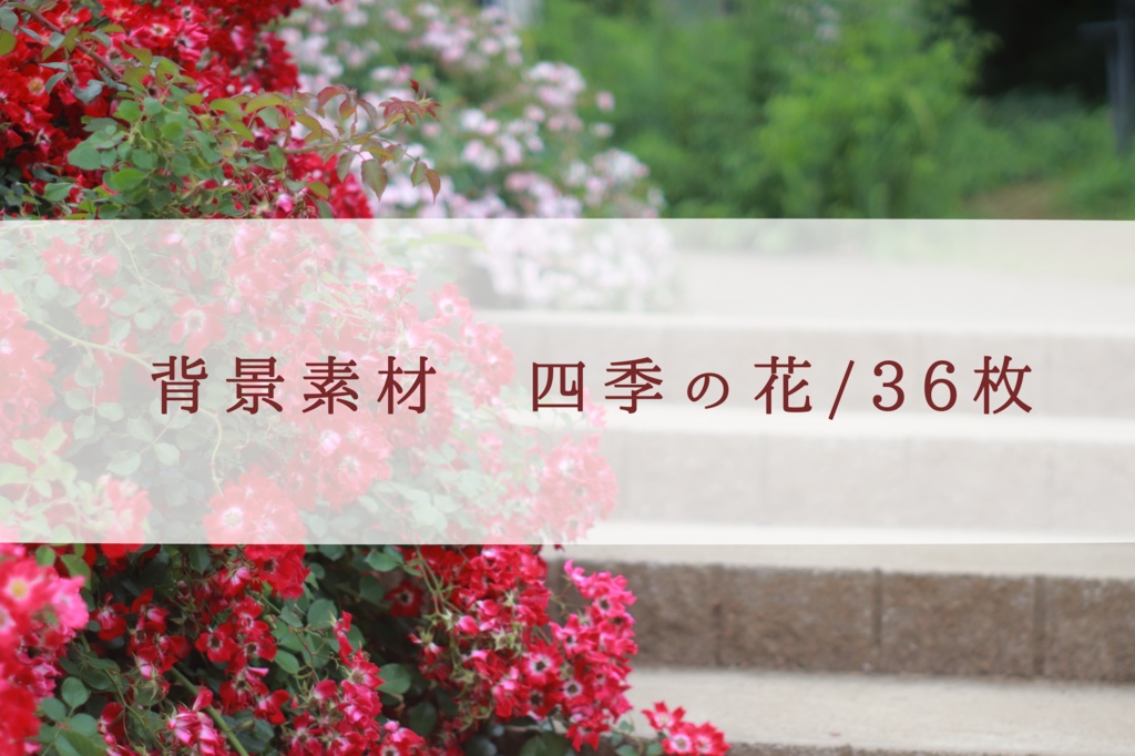 【無料】四季の花写真素材_36枚