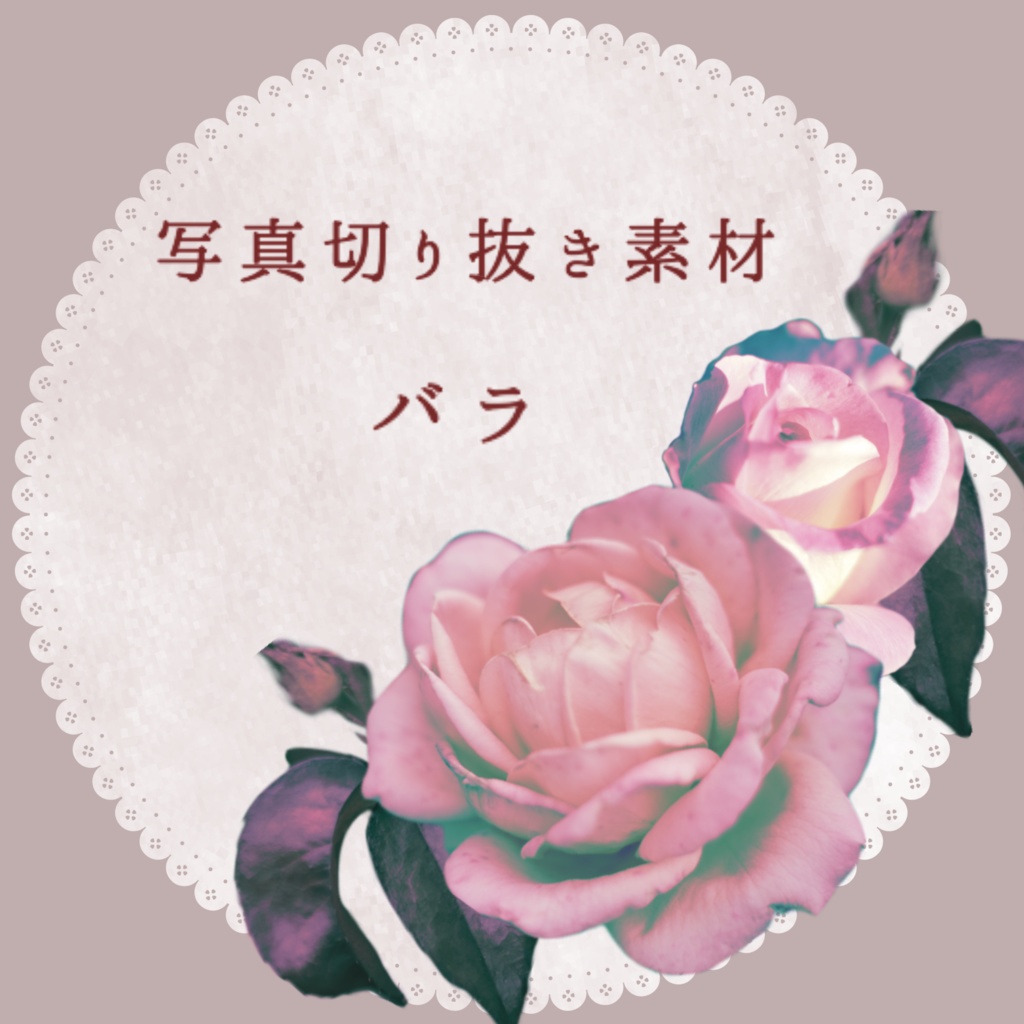 【無料】切り抜き花素材_バラ
