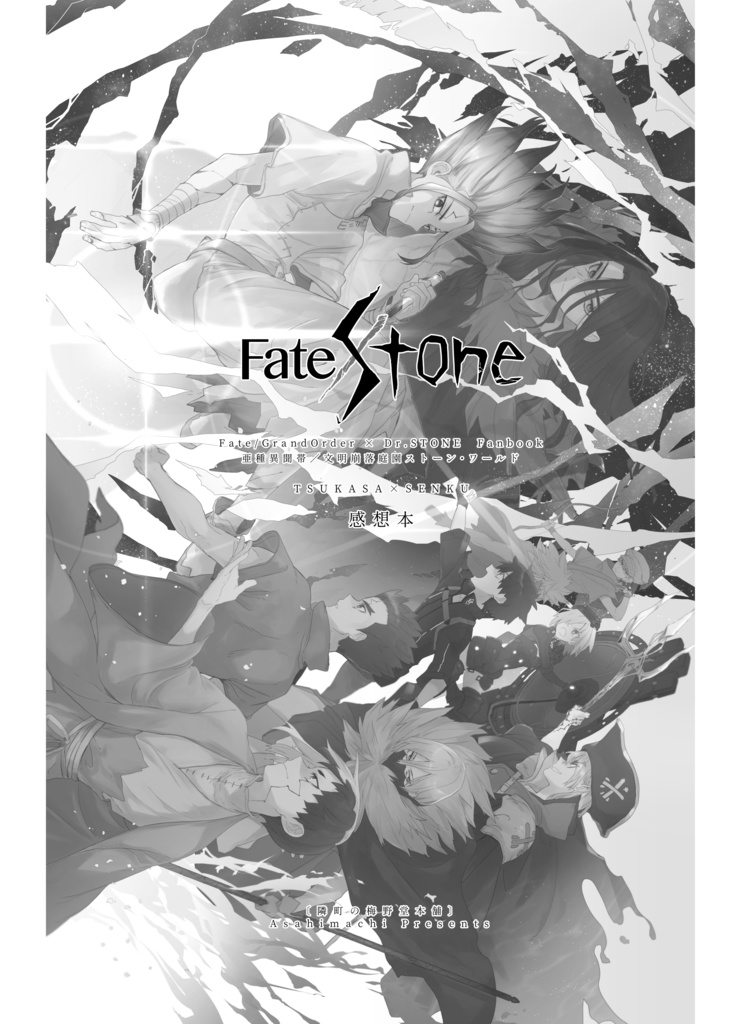 Fate/Stone感想本再録