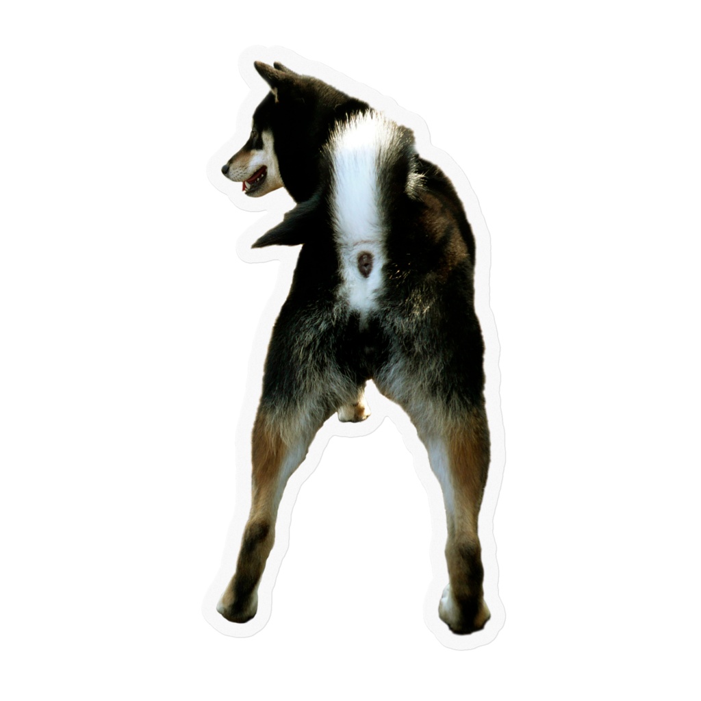 黒柴犬全身ステッカー 尻 ねずみごっこ Booth