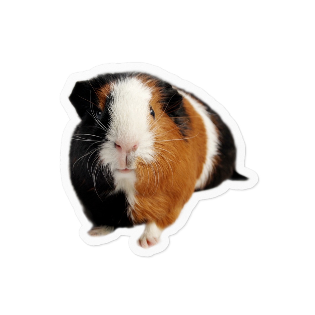 モルモット弥生ステッカー ねずみごっこ Booth