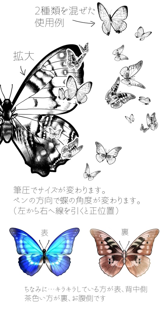 モルフォ蝶ブラシset クリスタ用